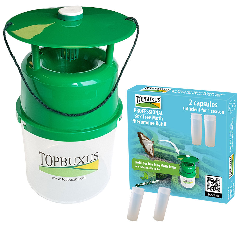 TOPBUXUS Boxwood Moth Trap and Pheromones