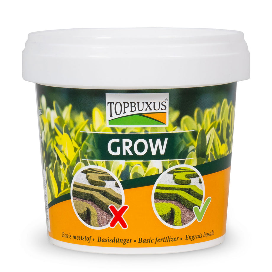 dünger für buxus TOPBUXUS GROW