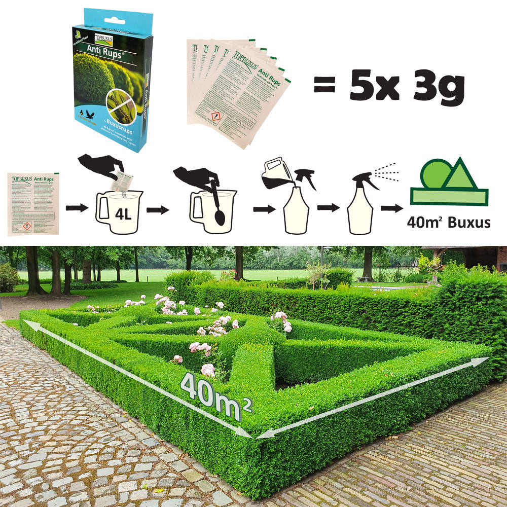 Dosering TOPBUXUS Anti Rups met Buxustuin